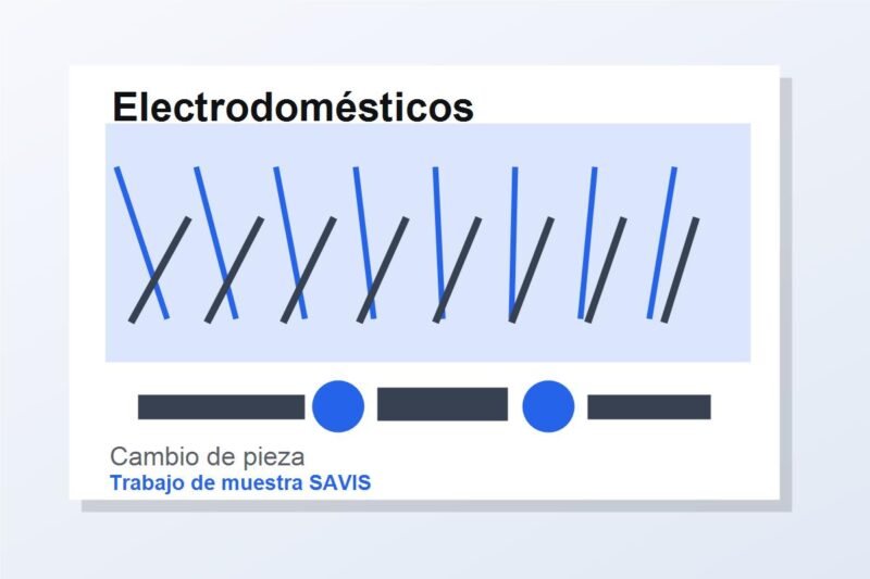 Federico Lima. Técnico de electrodomésticos – diagnóstico a domicilio (muestra)