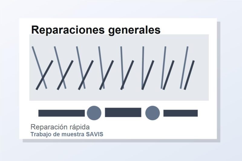 Pablo Suárez. Reparaciones generales del hogar – soluciones rápidas (muestra)