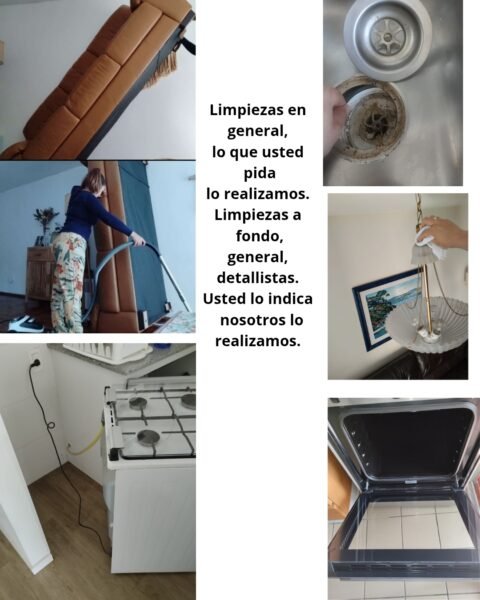 Reluciente -servicios de limpieza en general